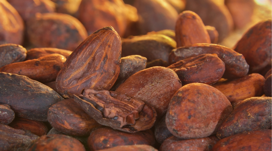 Callebaut reports further progress on traceability